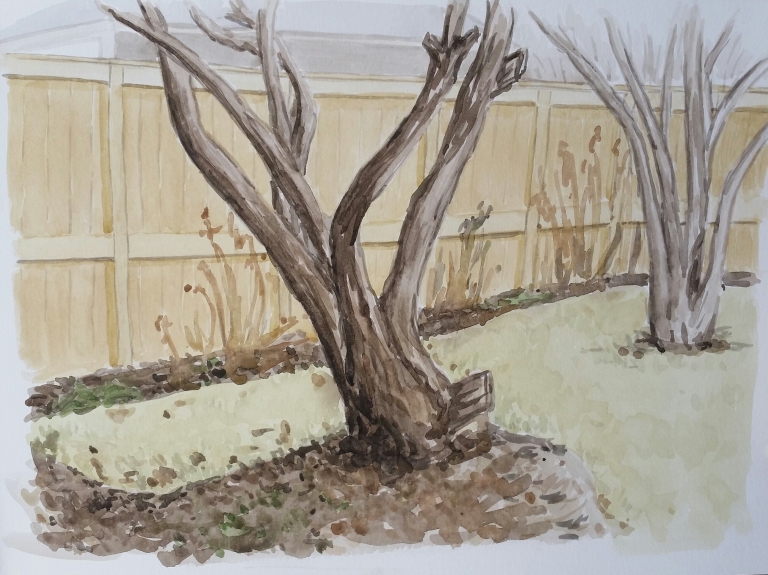 Shade Garden View, Apr. 9, 2017, watercolour on paper