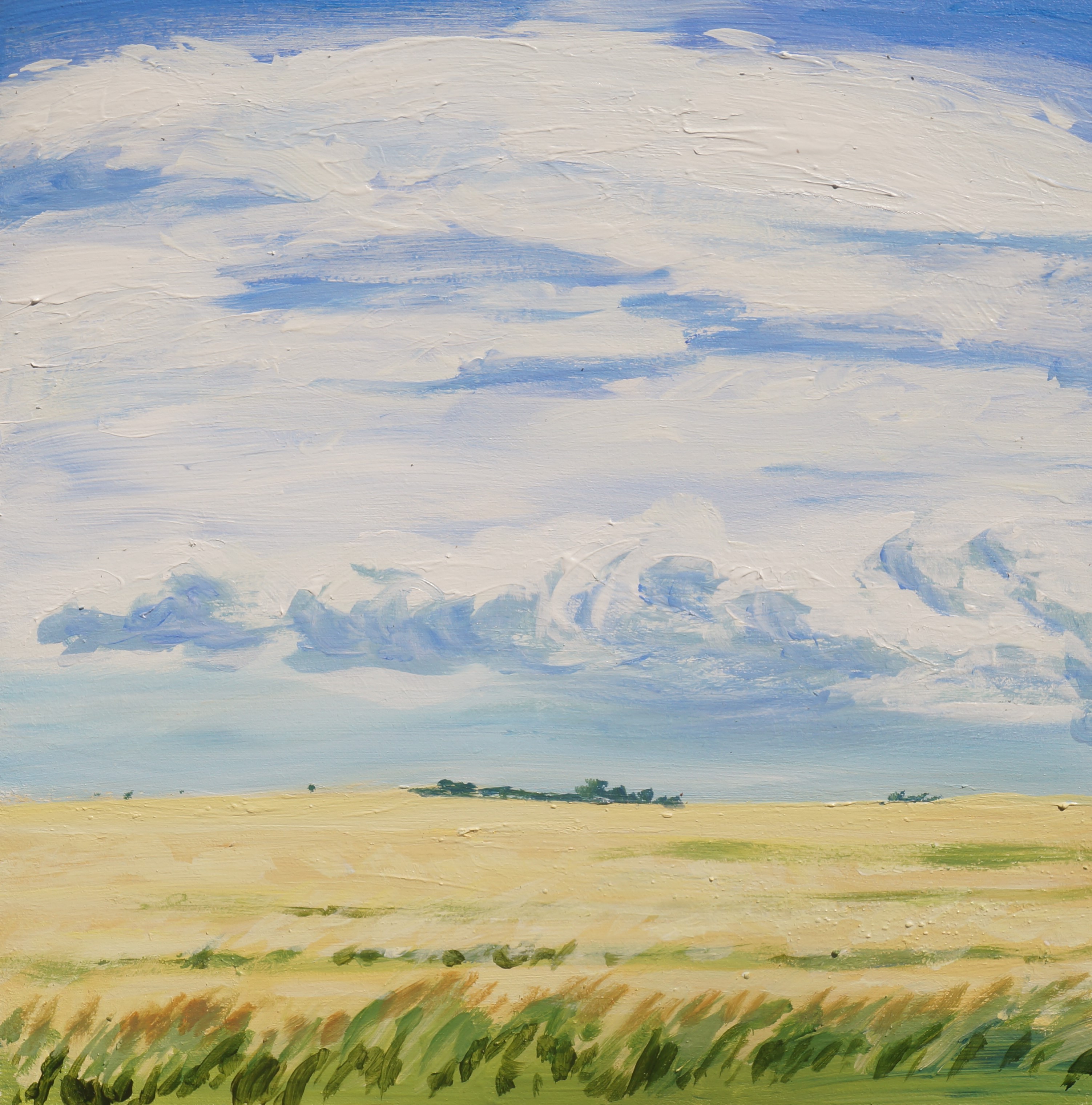 Fields, Aug.12, 2020, acrylic on panel 12in.x12in.